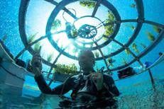 L'orto di Noli in fondo al mare sfida la crisi climatica e riscrive l'agricoltura del futuro