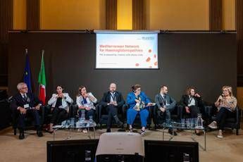 Mediterranean Network for Hemoglobinopathies (Mnfh) - (Foto ufficio stampa)