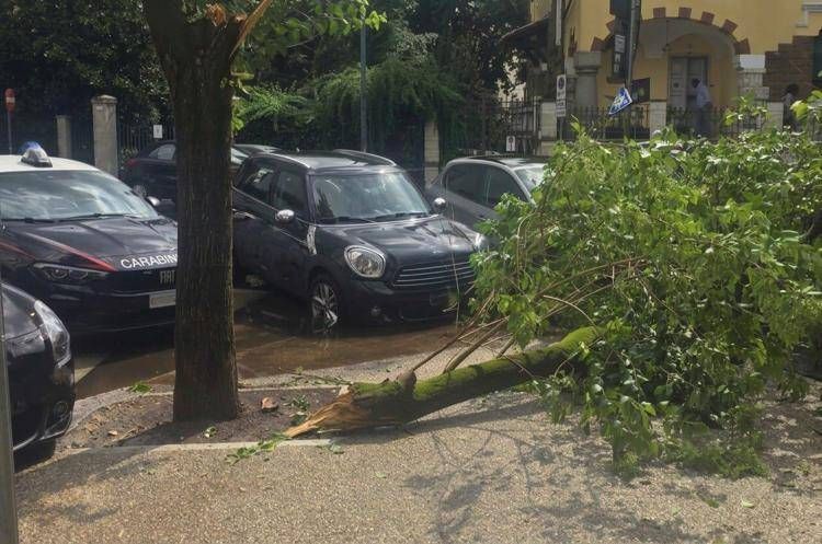 L'albero caduto nel quartiere Coppedè - (AdnKronos)