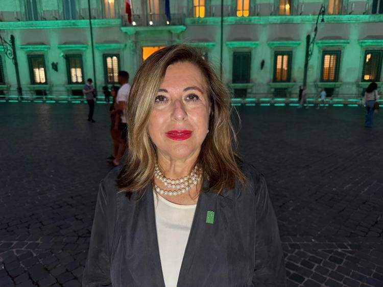 Fulvia Massimelli - (Foto Adnrkronos)