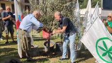 A Pontida il tributo a Bossi: Calderoli e Leoni piantano un ulivo e cantano 'Va pensiero' - Video