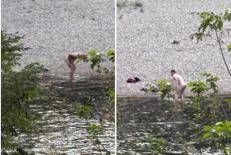 Bagno senza veli nel Brenta, due uomini entrano in acqua nonostante il divieto