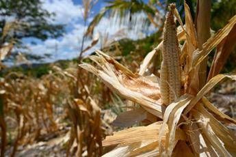 El Niño e l'allarme Ocse: 
