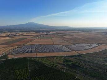 In Sicilia nasce il più grande impianto agrivoltaico d'Italia
