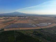 In Sicilia nasce il più grande impianto agrivoltaico d'Italia