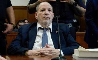 Harvey Weinstein - Ipa