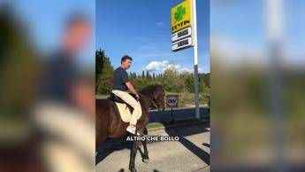 Caro carburanti? Nardella sceglie il cavallo: 