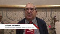 Salute: Pavanello (Utp-Pd), 'malattie respiratorie croniche ancora sottovalutate'