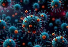 Virus Covid - (Foto )