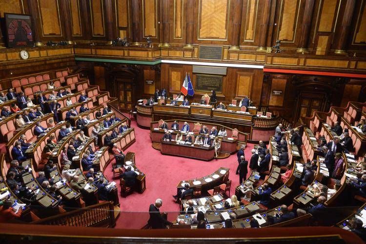 Senato - (Ipa)