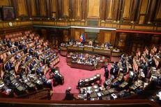 Senato - (Ipa)