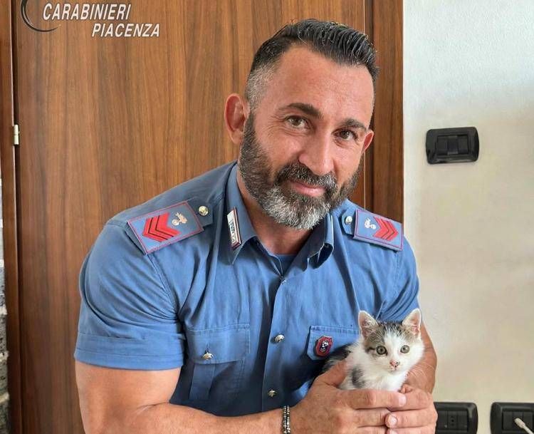 Piacenza, sente miagolii dal motore: carabiniere salva un gattino e lo adotta