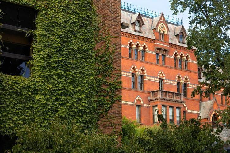 Cornell University - (Dal sito Facebook)