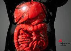 Aifa approva mirikizumab anche nel trattamento della malattia di Crohn - (Immagine di repertorio)
