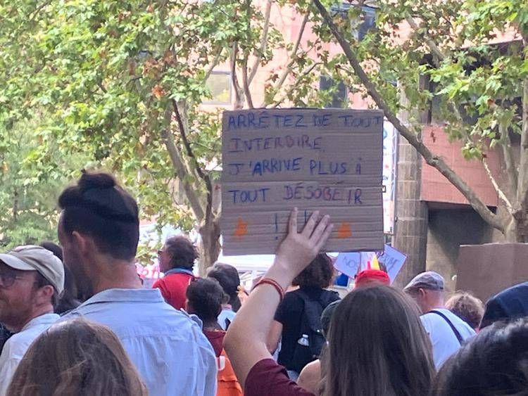 Manifestazione degli studenti a Tolosa (Adnkronos)
