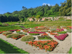 Turismo, in Irlanda del Nord i Walled Gardens svelano storie di dimore nobiliari in parchi lussureggianti
