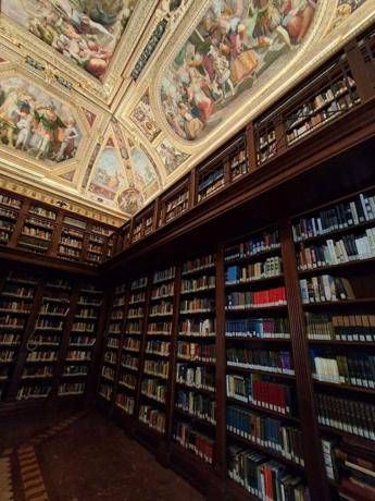 Centro Studi Americani, la biblioteca si rinnova: 50mila volumi, archivi storici e nuove risorse digitali