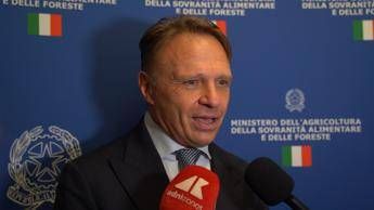 Made in Italy, Lollobrigida: "Significativo far conoscere eccellenze ristorazione"