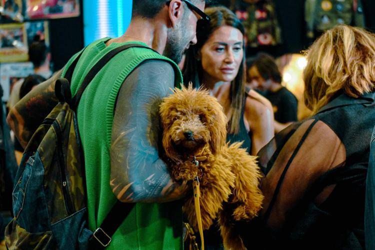 East Market torna con Pet Market, area dedicata agli animali domestici