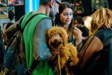 East Market torna con Pet Market, area dedicata agli animali domestici