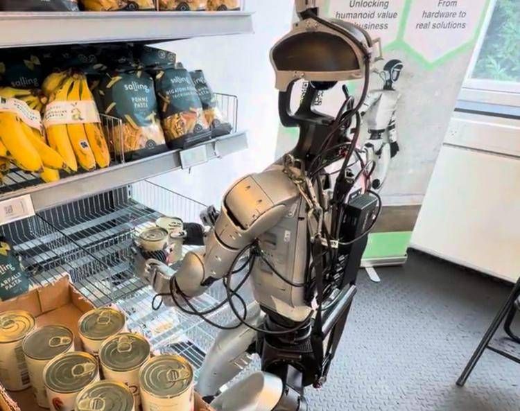 Un robot della Hive - (sito Hive)