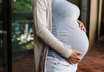Fabbrica figli in Brasile, arriva la denuncia in Italia: "Estorsione, calunnia, uso di atto falso..."