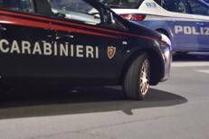 Carabinieri e polizia - (Fotogramma)