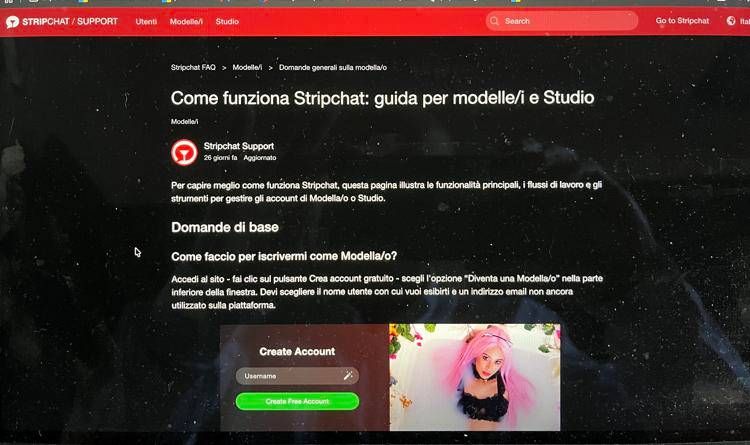 Una pagina di Stripchat - Foto Adnkronos