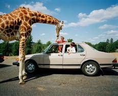 (Una delle fotografie di Martin Parr in mostra a Milano - ufficio stampa)