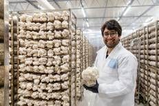 Good Food Makers, il programma di open innovation di Barilla che testa soluzioni innovative con startup globali per accelerare l’innovazione, annuncia i tre vincitori dell'edizione 2026 - (Ufficio stampa)