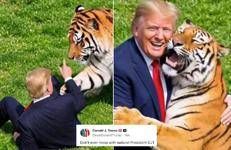 Trump nel video AI con la tigre - Truth Social