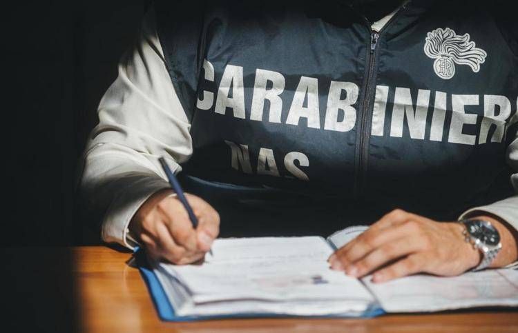 Carabinieri - (Ufficio stampa dei Carabinieri)