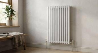 Un termosifone - (Immagine creata con l'AI)