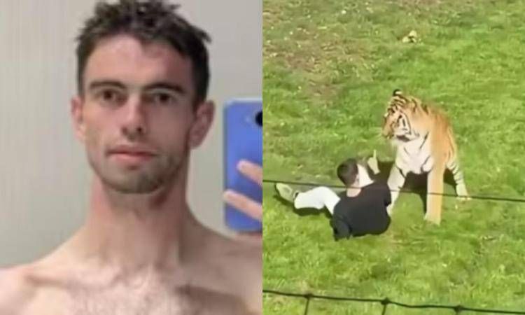 Da sinistra: William Chapman e frame dell'aggressione  - (Social)