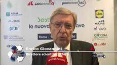 Giovannini (ASviS): 