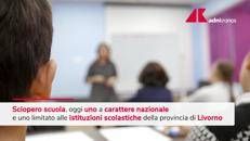 Sciopero della scuola, oggi le manifestazioni - Video