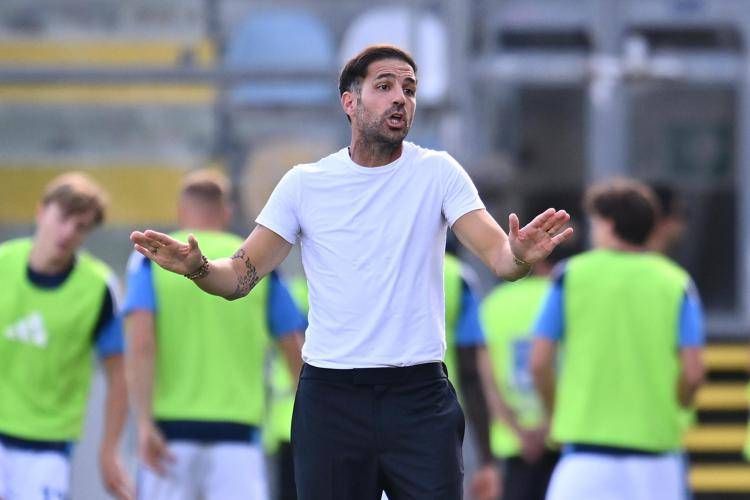Fabregas - IPA