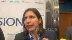 Caro carburanti, Schlein: 