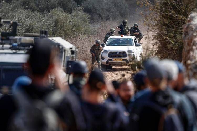 Palestinesi che raccolgono le olive, repertorio - (Afp))