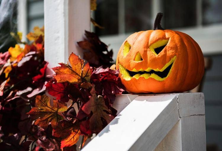 Zucca di Halloween  - (123RF)
