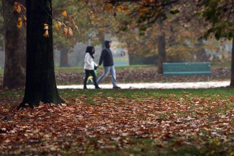 Persone al parco - (Ipa)