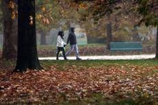 Persone al parco - (Ipa)
