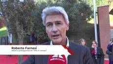 Salute, Farnesi: 