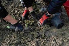 Dal tempo sospeso al futuro, con Estra i detenuti toscani rinascono agricoltori