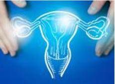 carcinoma endometriale - (foto Adobe)