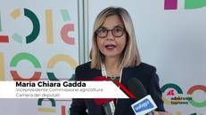 Ristorazione collettiva, Gadda: 