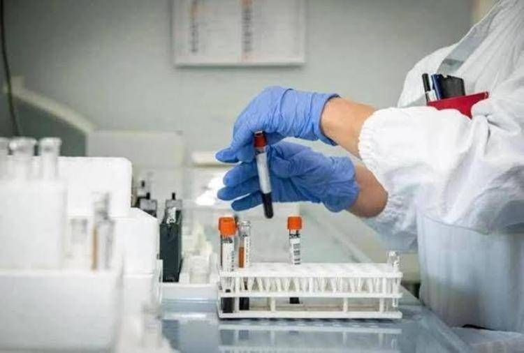 Laboratorio - (Fotogramma)