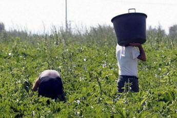 Lavoratori nei campi - Fotogramma