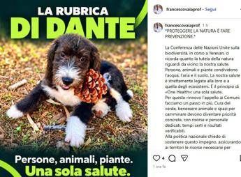 Cop17, l'appello di Vaia: "Salute umana legata a quella degli ecosistemi, da Comuni a Governo fare di più per One Health"