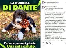 Cop17, l'appello di Vaia: 